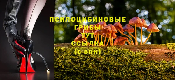 ECSTASY Гусев