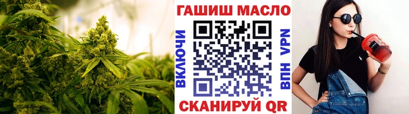 купить закладку Елизово ТГК гашишное масло