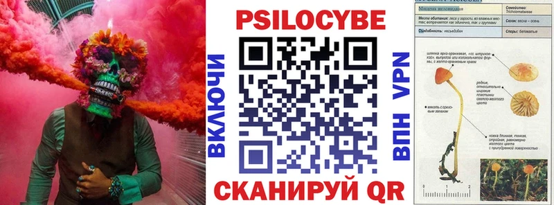ссылка на мегу сайт  Елизово  Галлюциногенные грибы MAGIC MUSHROOMS  купить наркоту 
